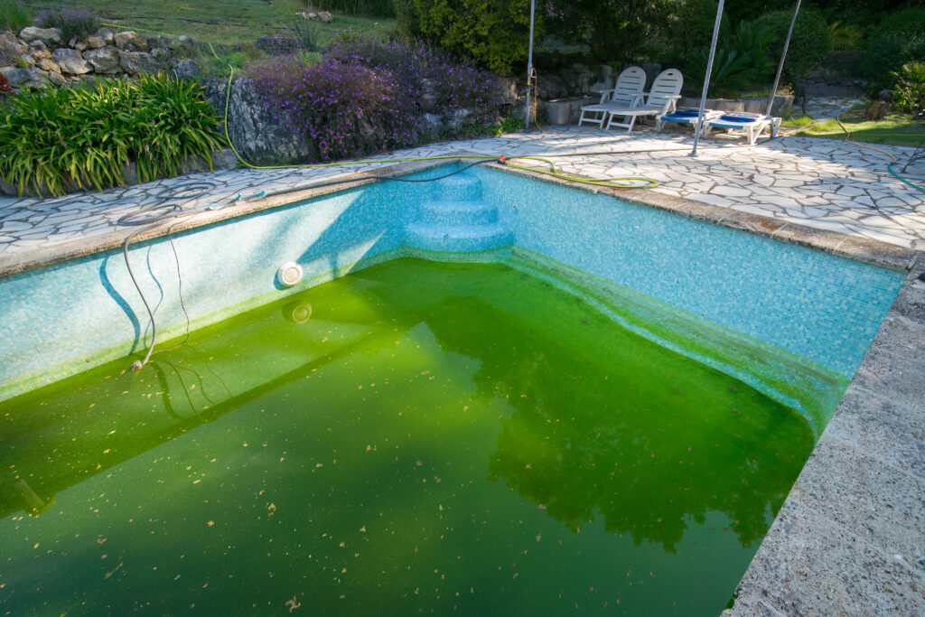 An old mosaic pool with leaks and green algae, a prime example of a pool remodeling project.